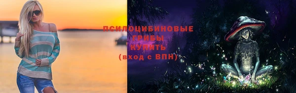 ПСИЛОЦИБИНОВЫЕ ГРИБЫ Нязепетровск