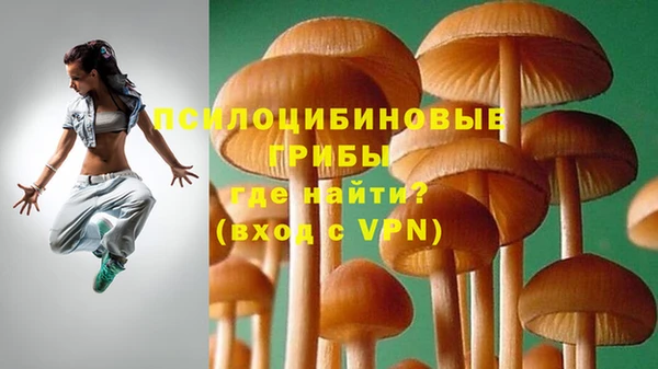 ALPHA PVP Алзамай